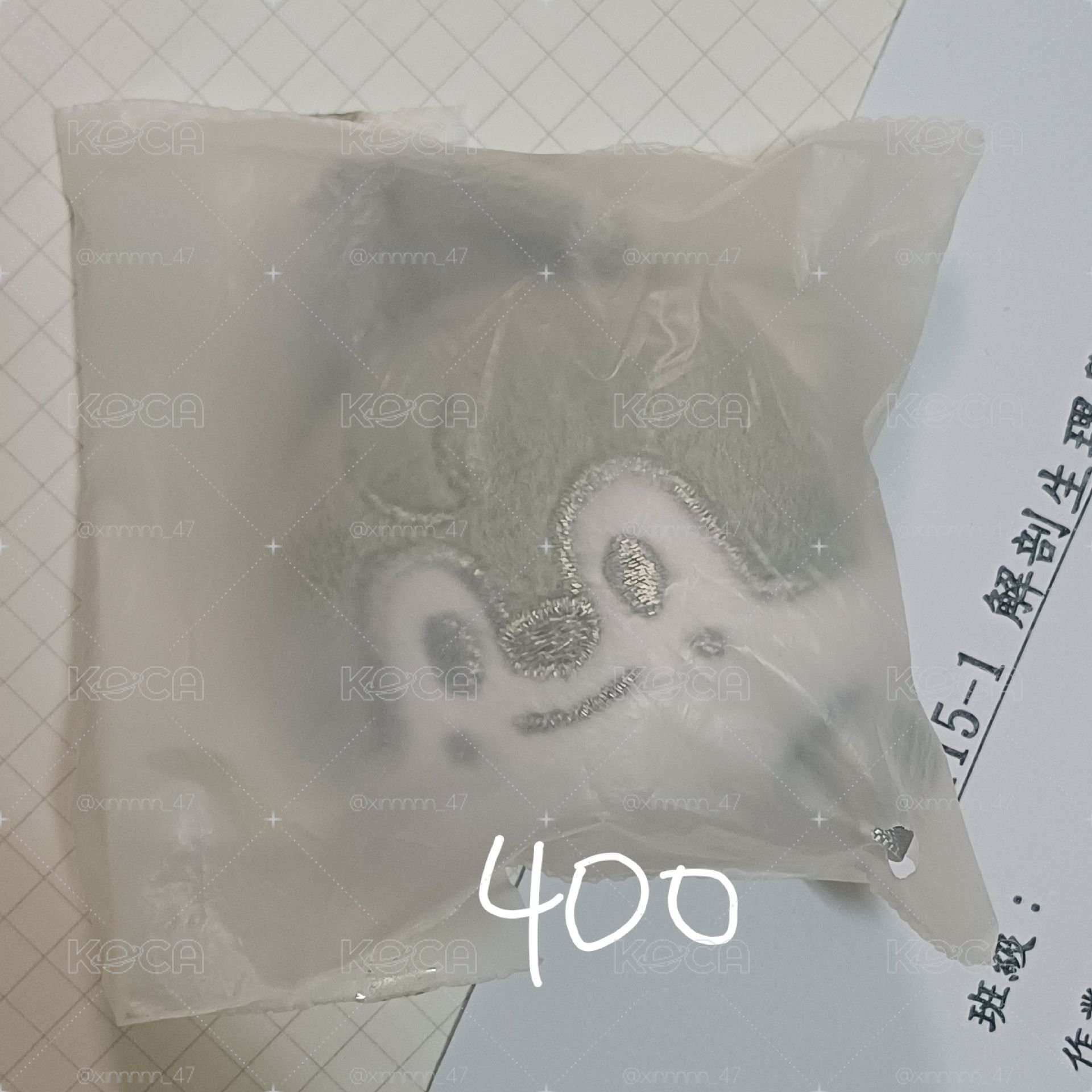 燦湯圓吊飾 （可當綁）