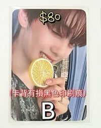廠損版檸檬