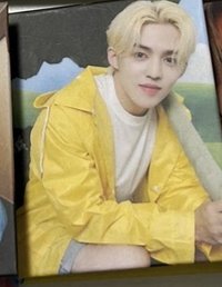 迷十一克拉盤