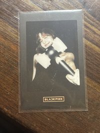 手燈莎