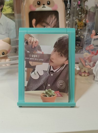 svt 專卡