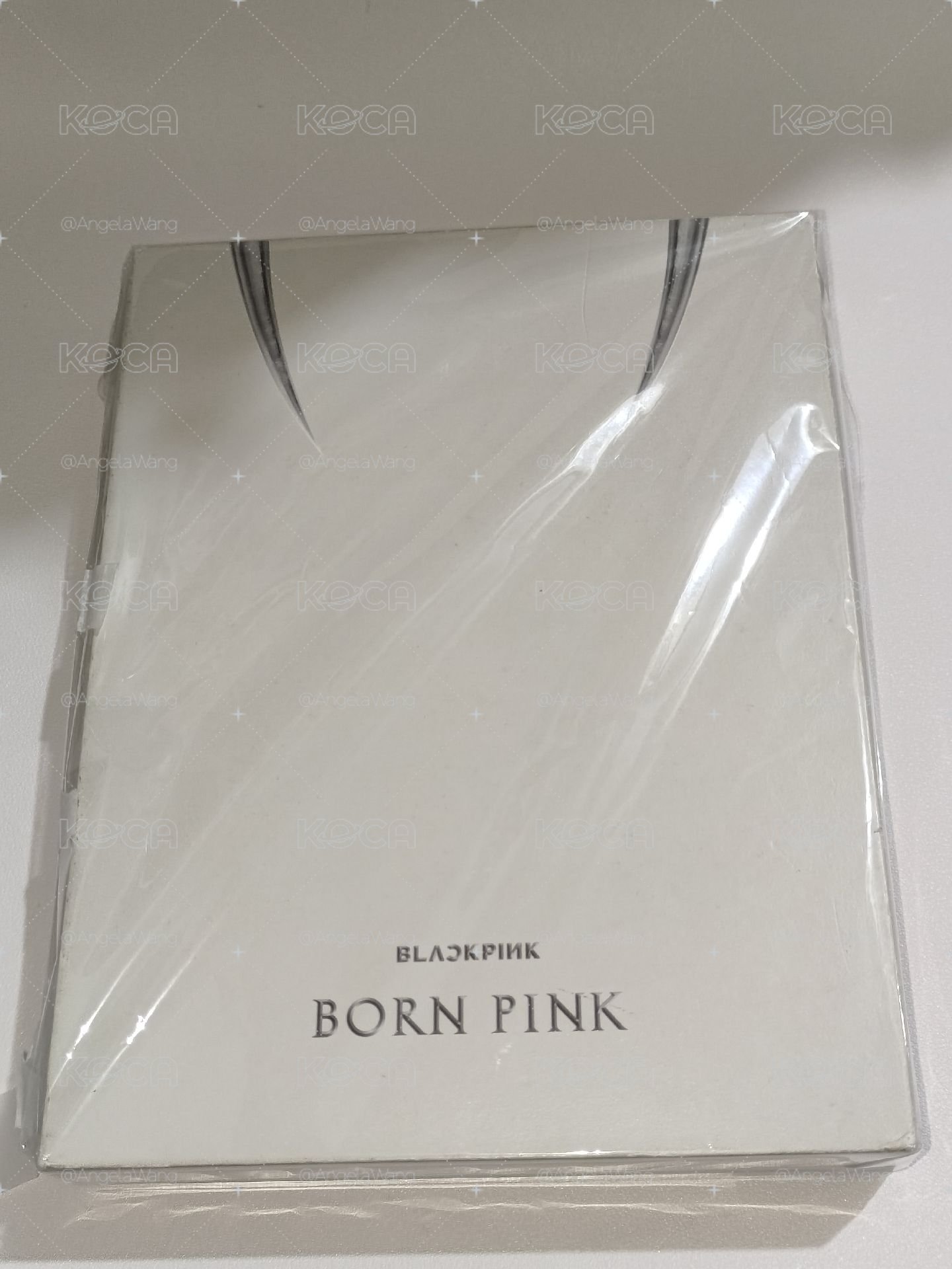 BORN PINK 空專