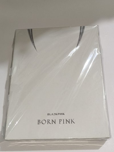 BORN PINK 空專