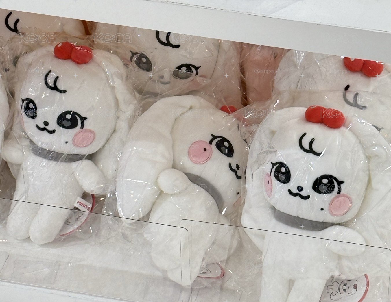 MINIVE 中娃 現貨 員 安 皆有貨