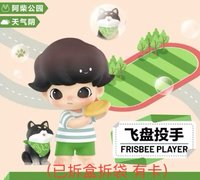 圖6 無盒已拆袋有卡