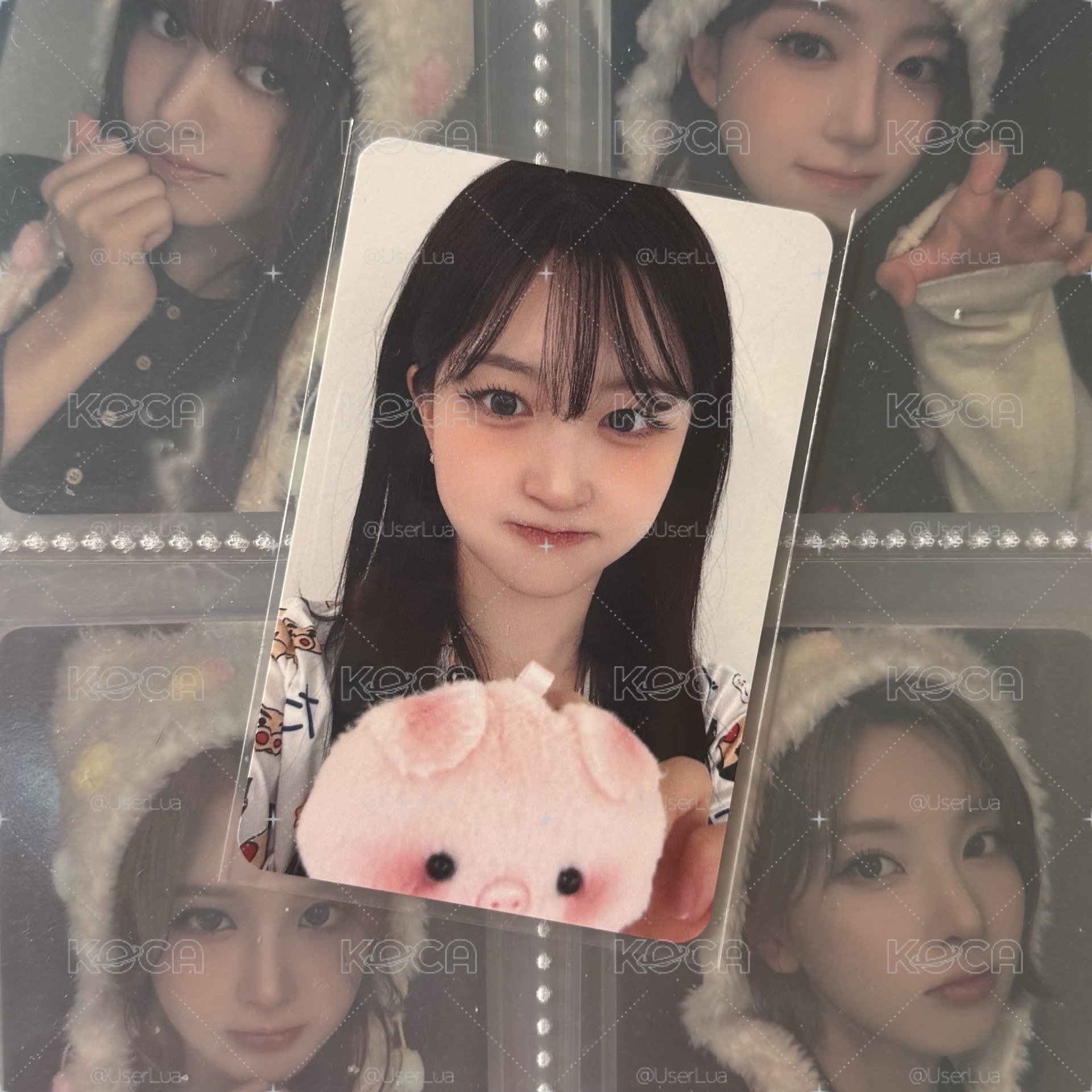 🐳/🪼正規一 ms小豬豬 嫄