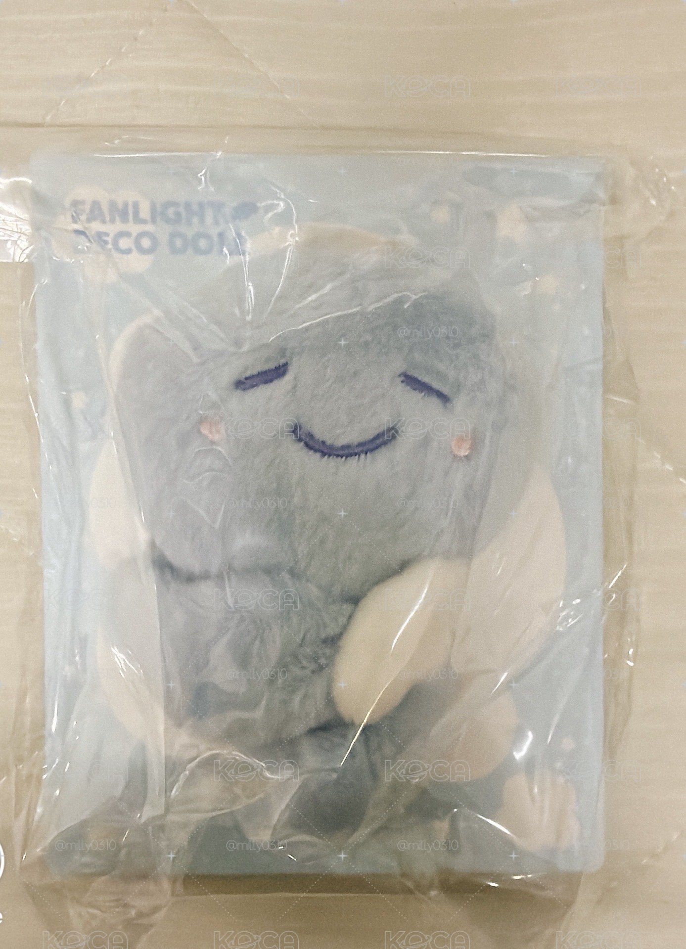 SSJ10安可場～東海、赫宰手燈娃