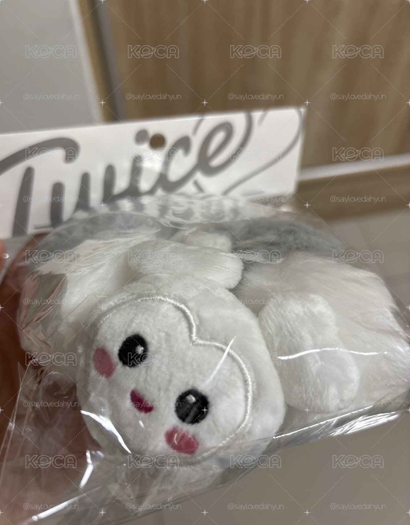 笨笨的davely髮圈