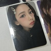 完全豬包萌啊啊