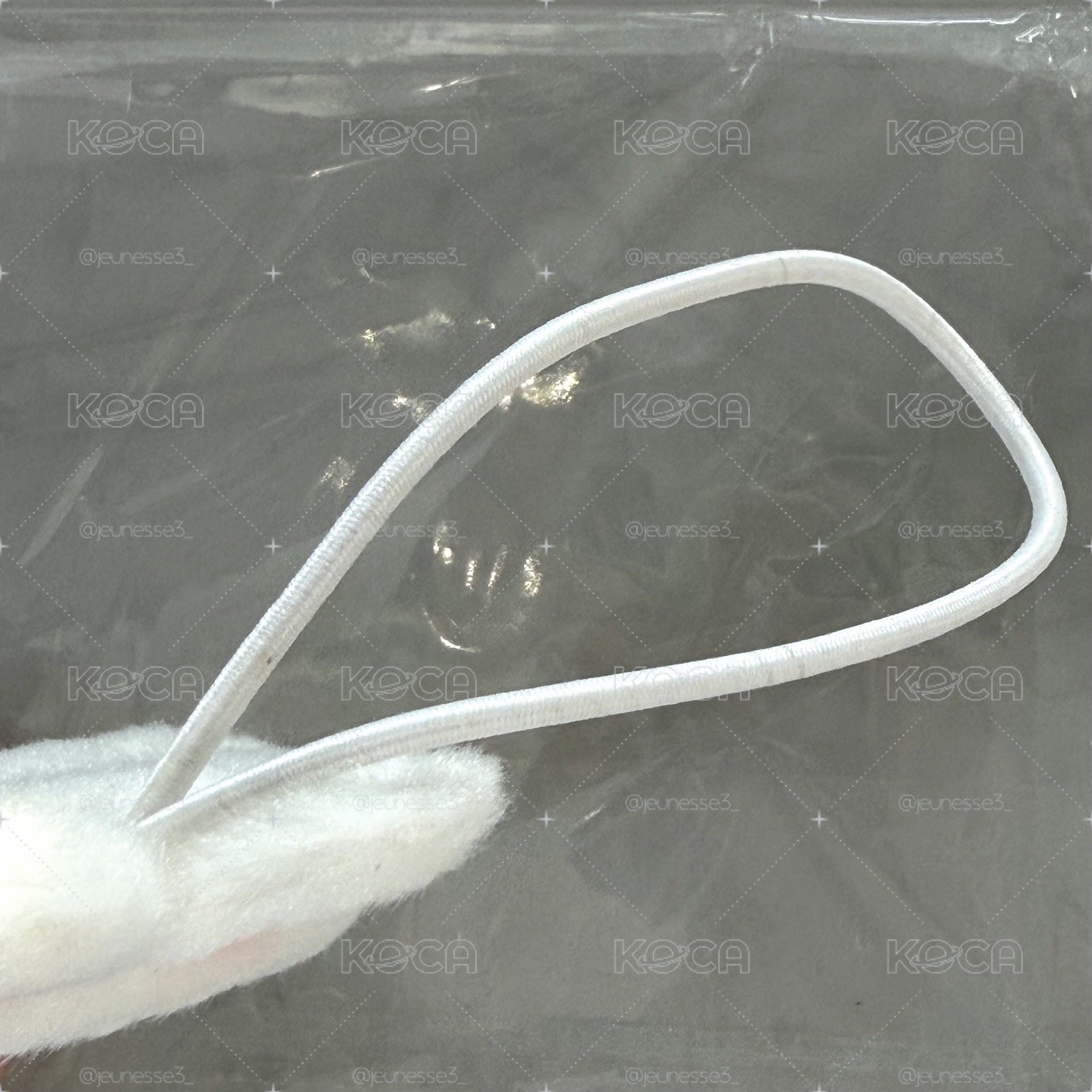 限時一小時 三期飯咪 旻行李吊牌