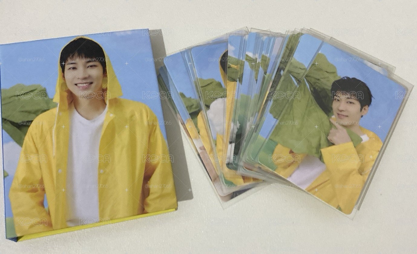 seventeen 11th mini