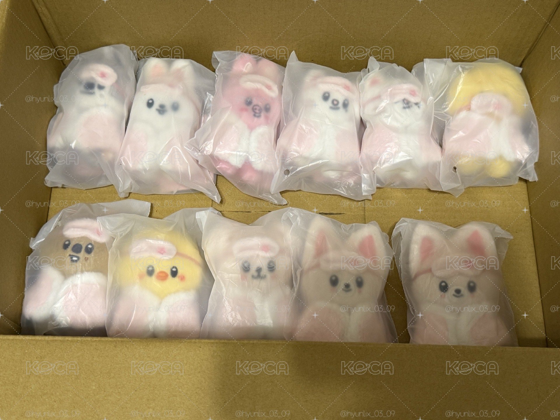 6期飯咪娃 