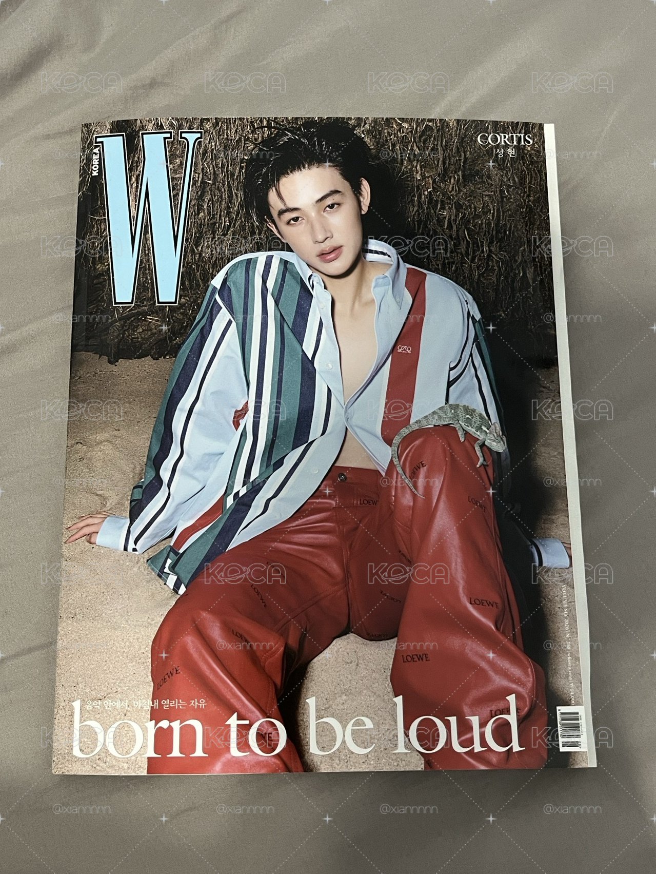 嚴嚴W雜誌
