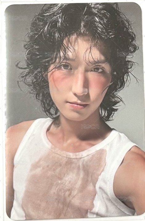 濕髮菇
