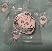 兔子/那孩子磁鐵