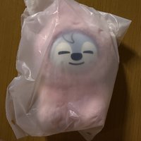燦款