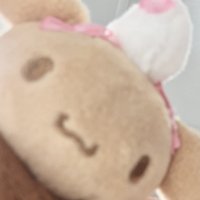☆賣場內所有商品只售不換 ☆