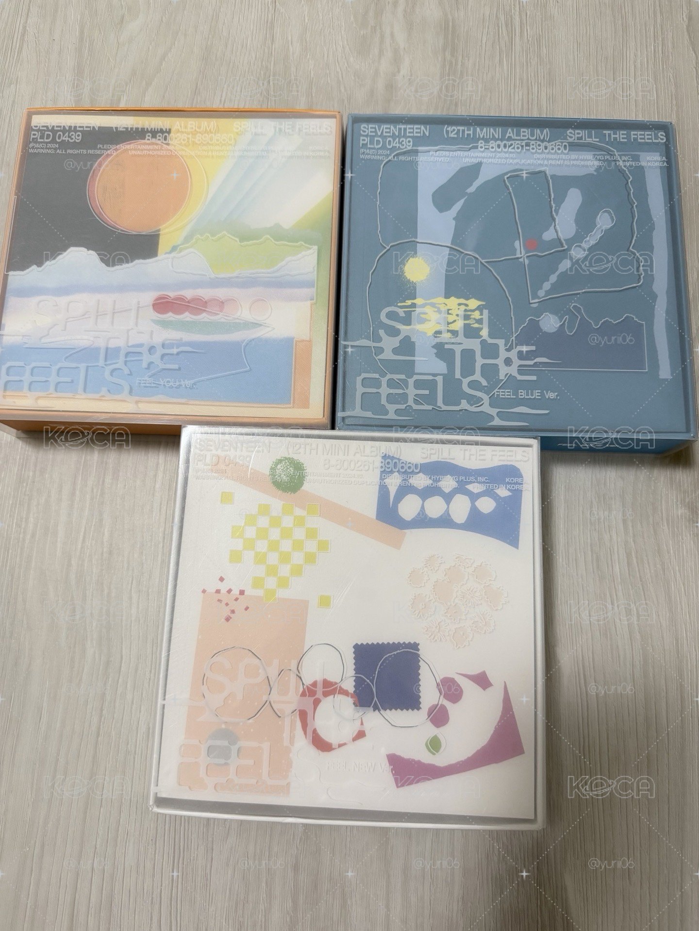 🩵SEVENTEEN 空專賣場