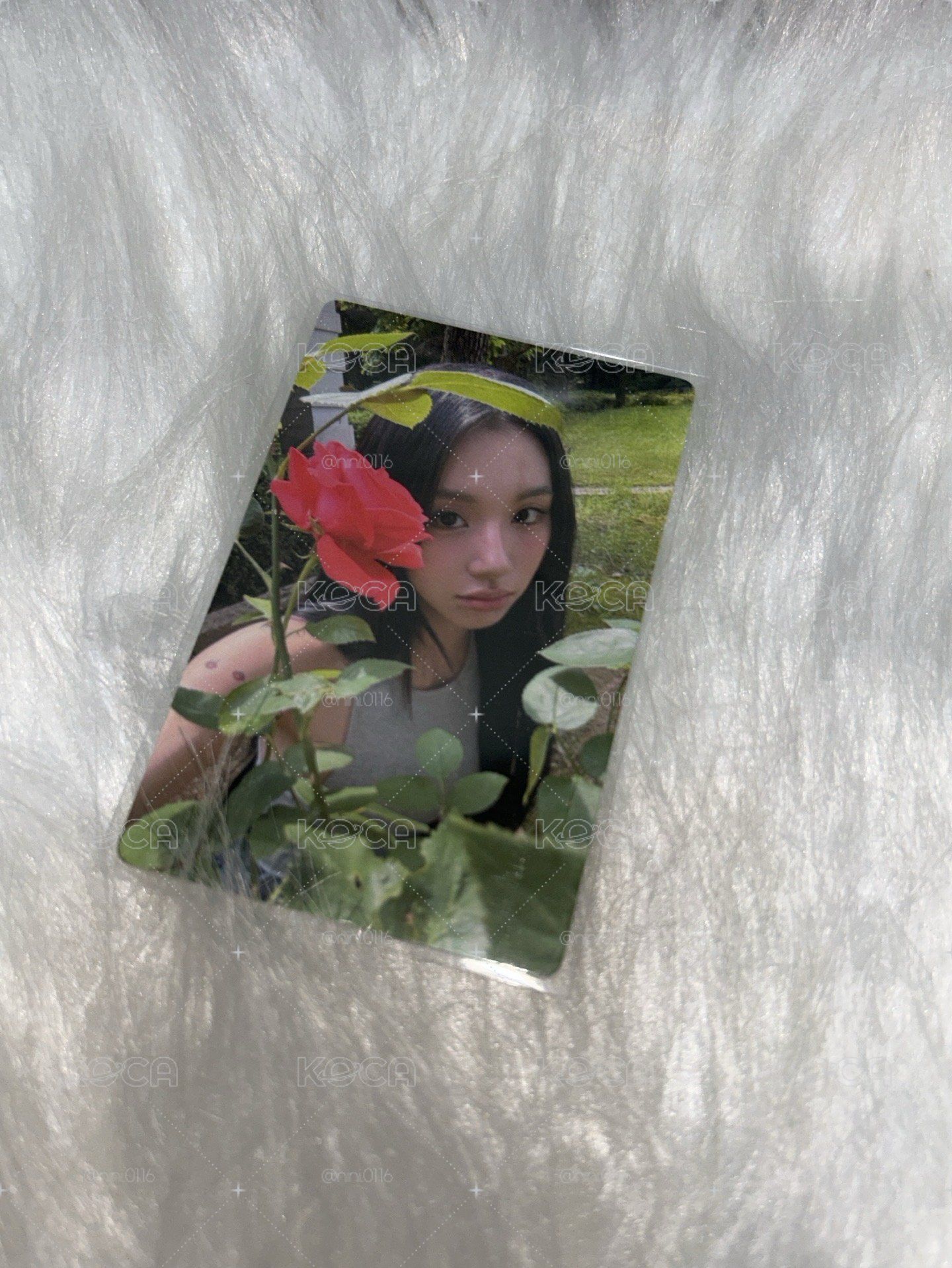 彩彩雜誌卡