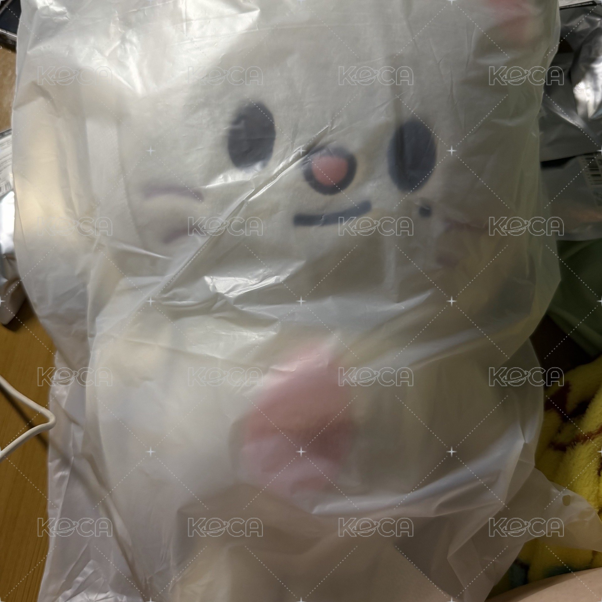 辰後背包