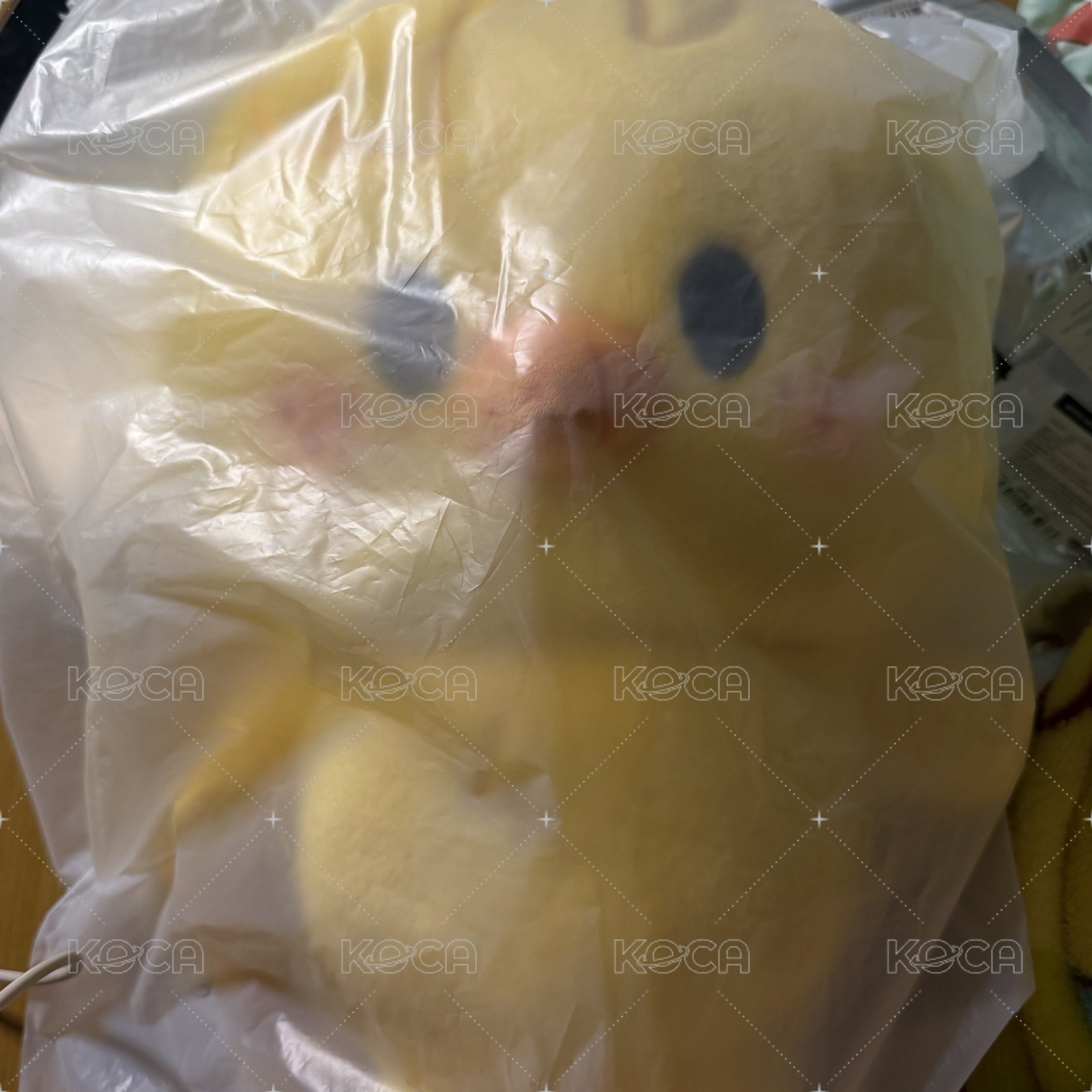 菲後背包