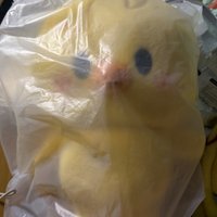 菲後背包