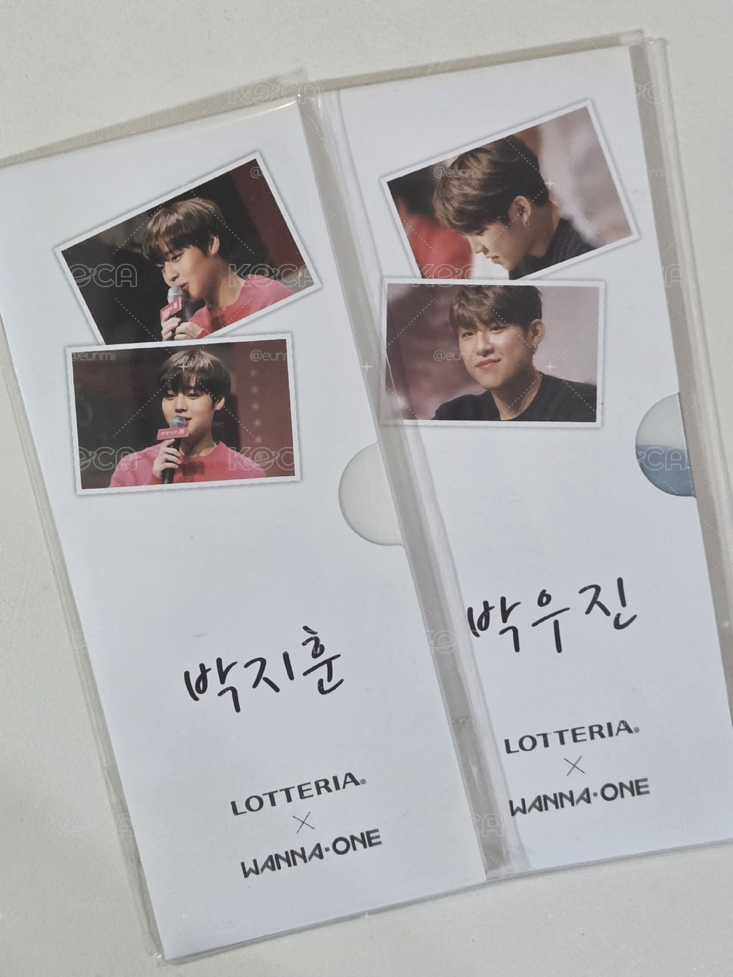 朴志訓 park jihoon park woojin 合售 樂天 漢堡卡 LOTTERIA 代言卡