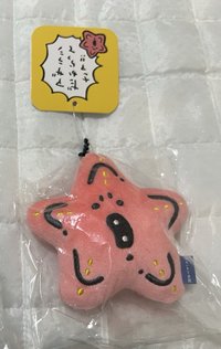 海星