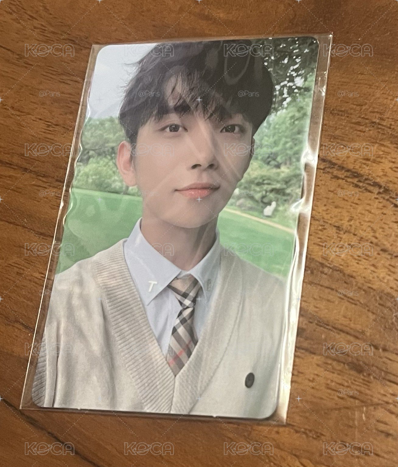 seventeen 知秀 social club小卡