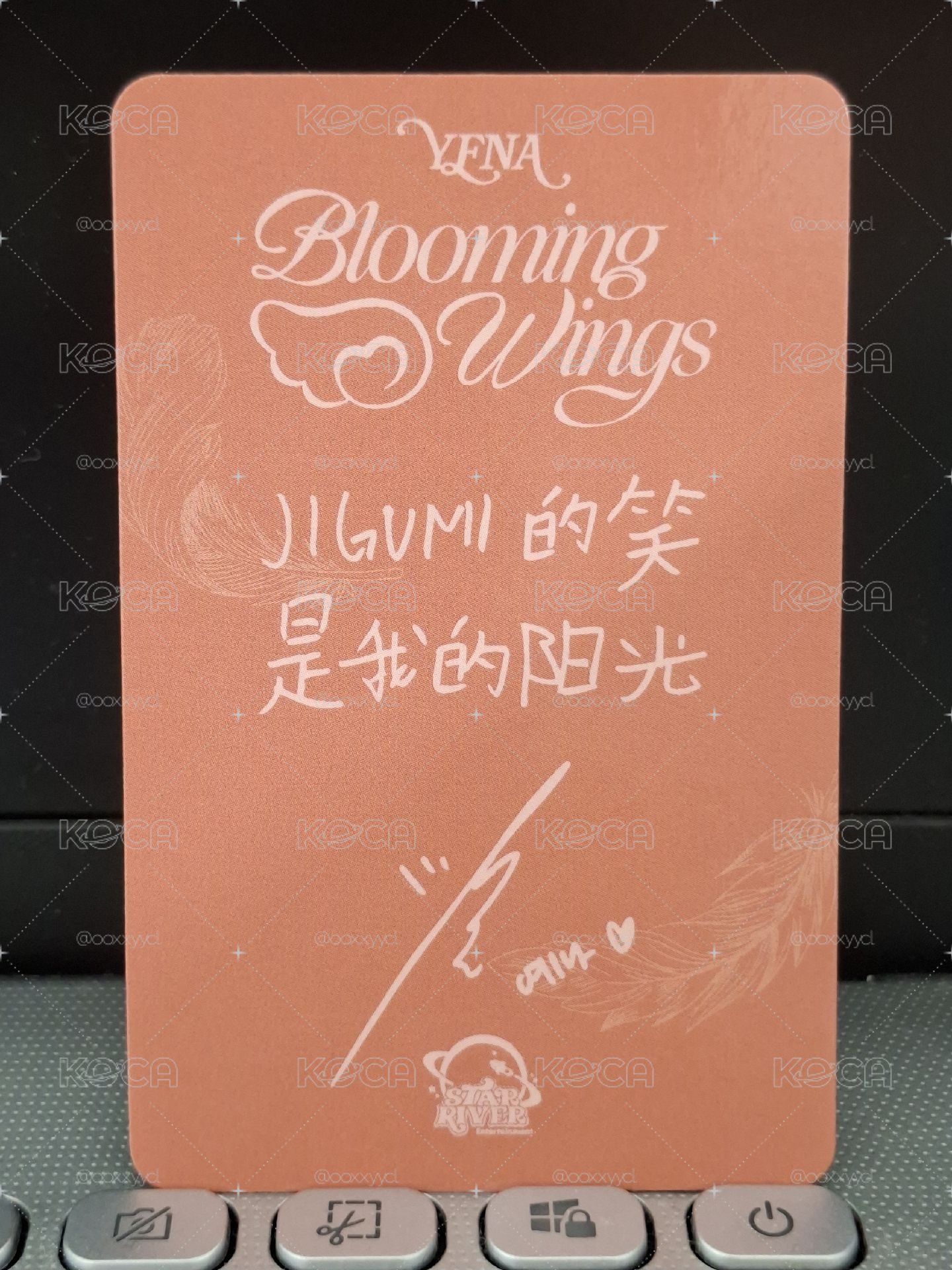 sr 貓爪YENA JIGUMI的笑是我的陽光