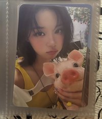 ms卡冬