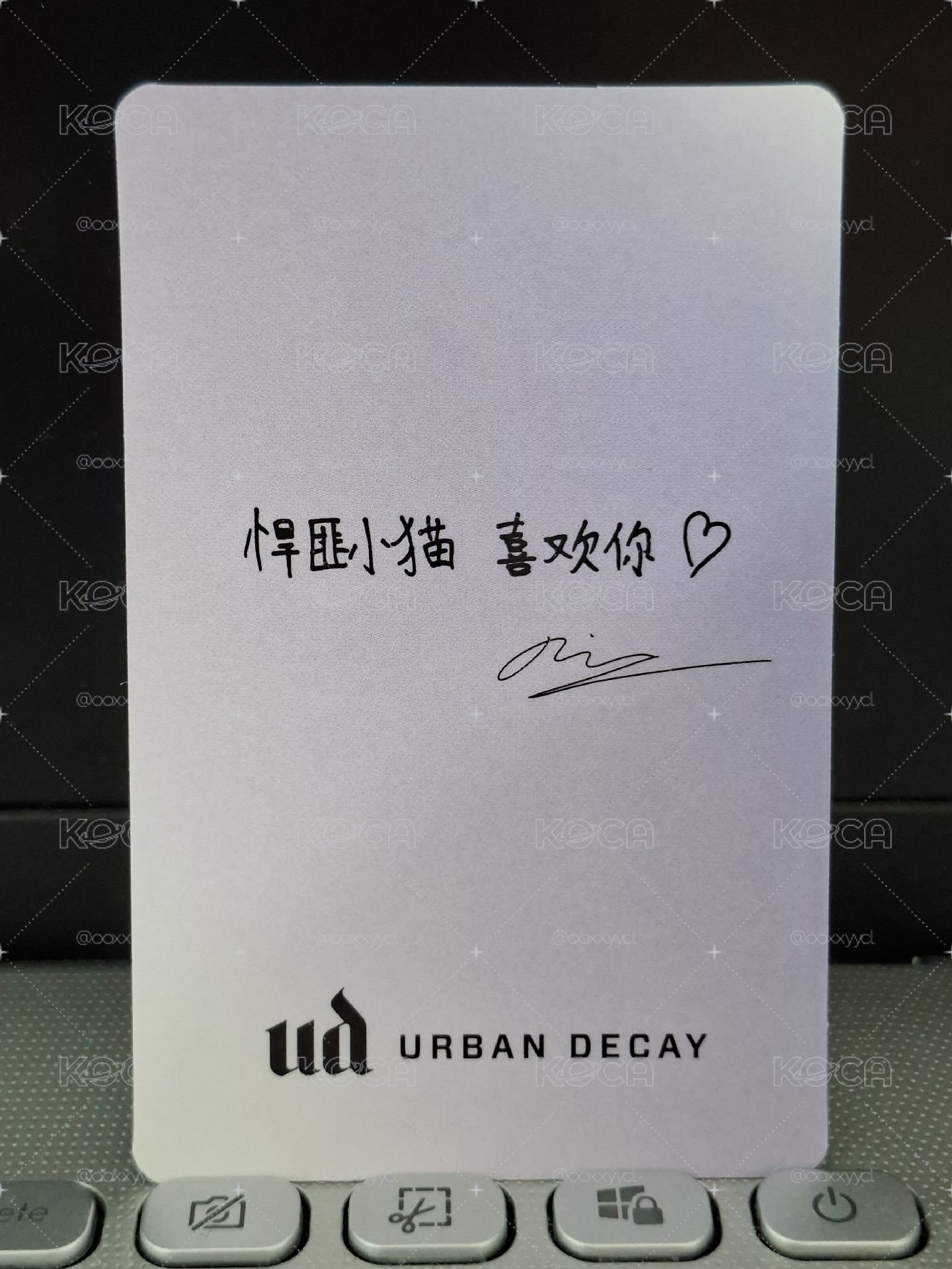 UD 代言卡 悍匪小貓 喜歡你♡