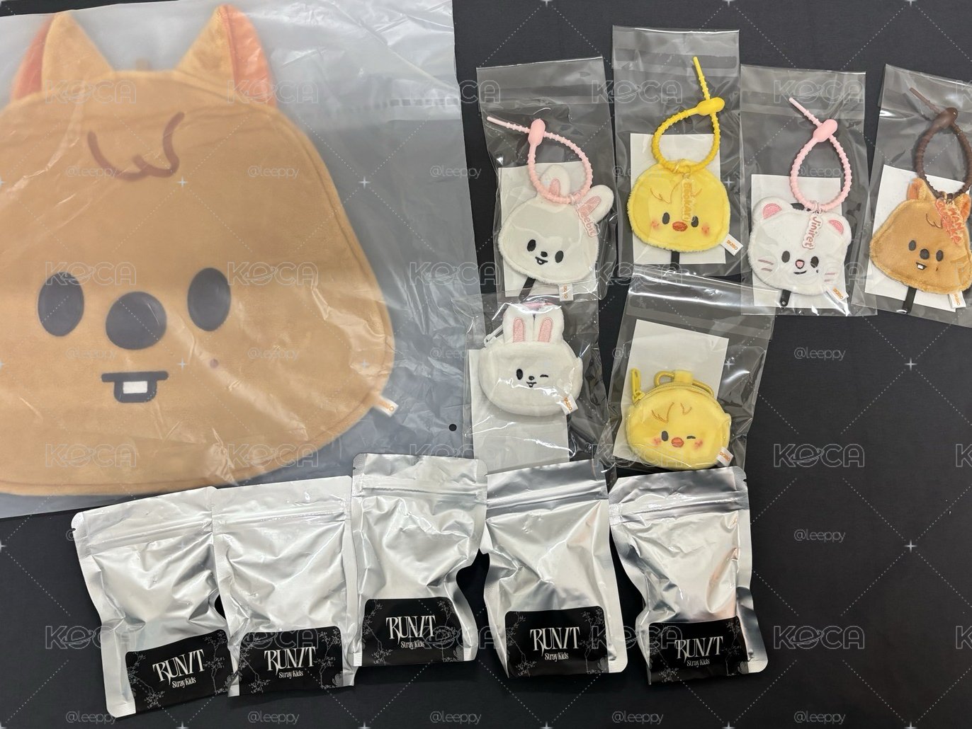 run it 巡迴場週 早鳥已購入