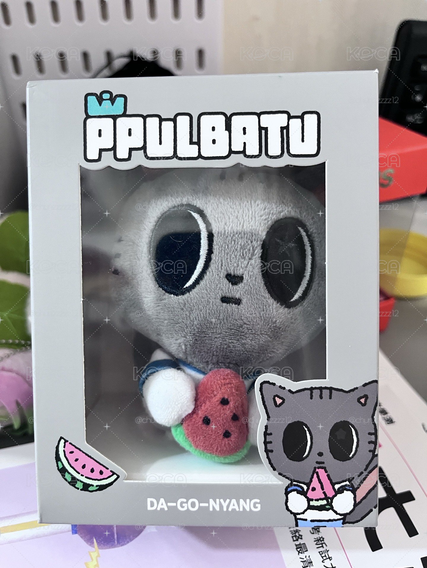 西瓜喵🍉