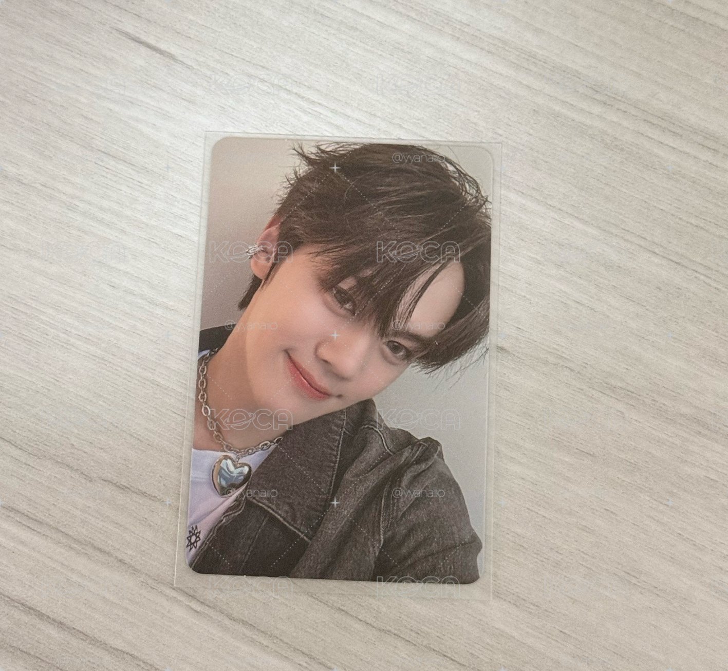 帶奎彬小狗回家吧！
