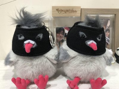 眼ㄆㄧㄚˊ胖鴿（左邊那隻）