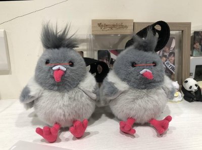 眼ㄆㄧㄚˊ胖鴿（左邊那隻）