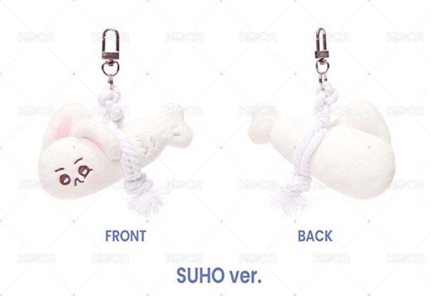 Search image