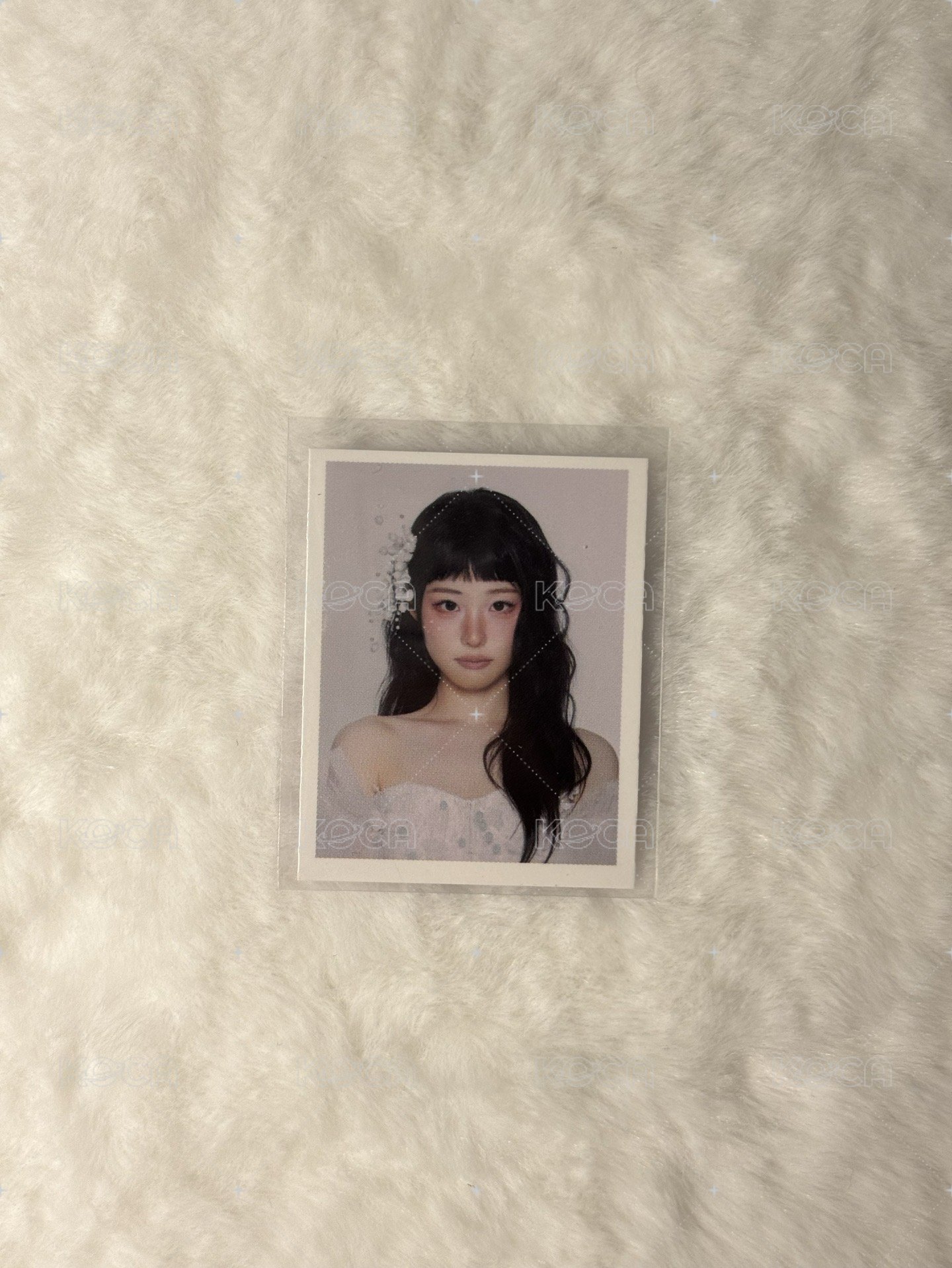 迷四證件照 HINA