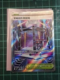 對戰圓形競技場