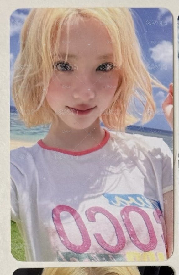 美美的豆包