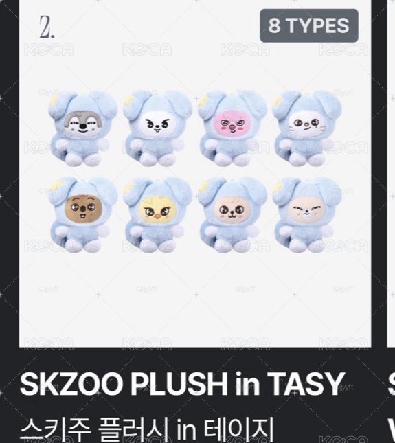 TASY 娃 現貨