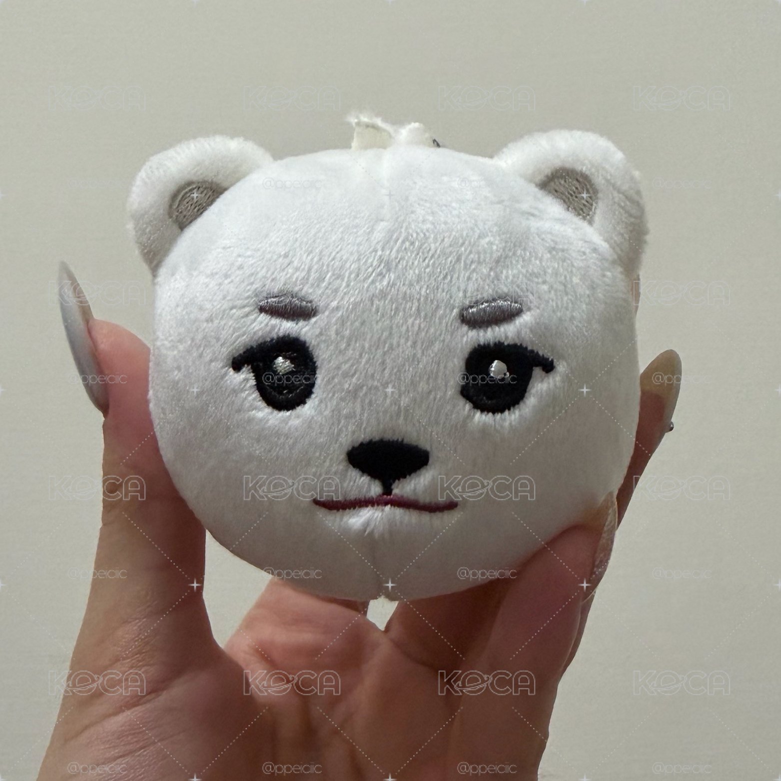 🐻‍❄️日巡場週大頭