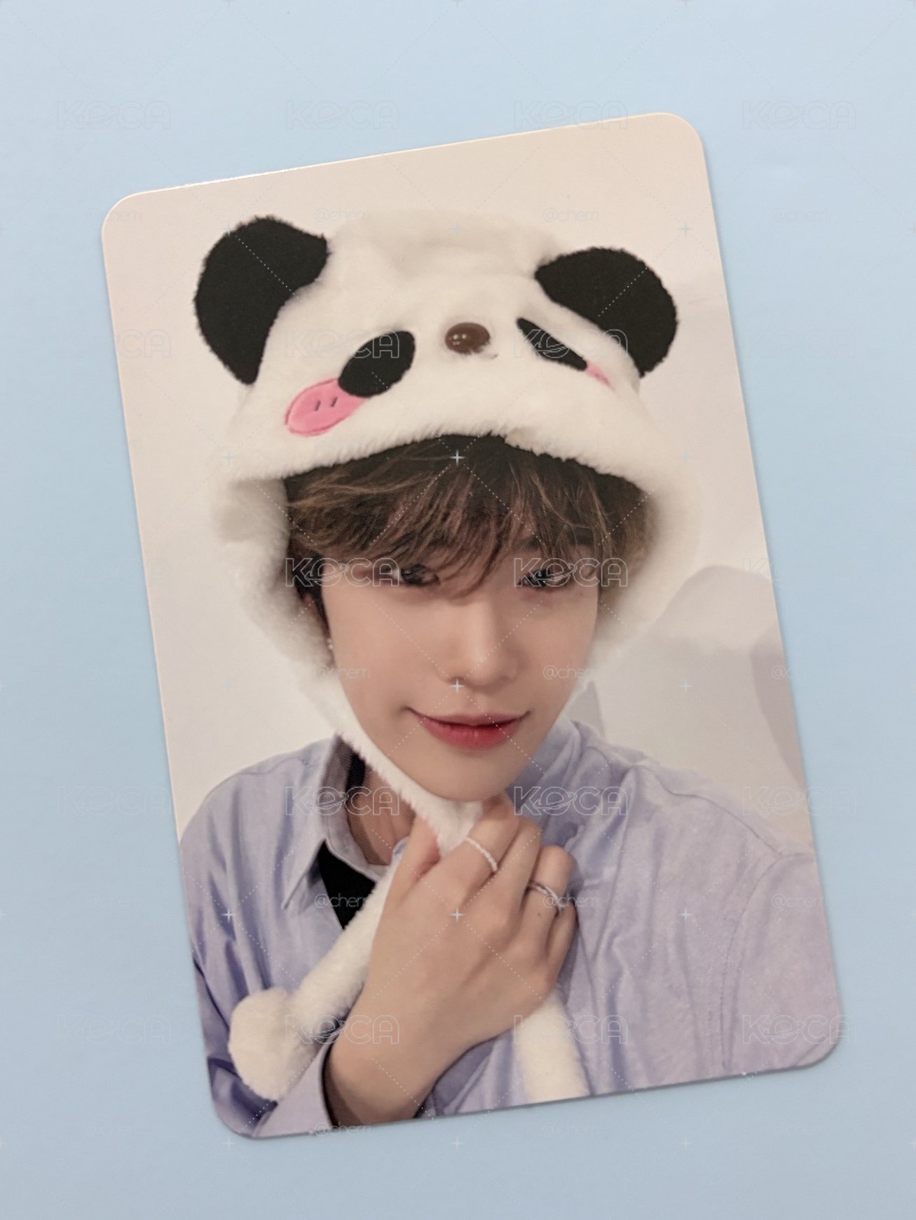 🐼來