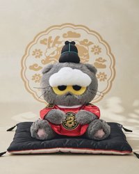 ZOA 中娃