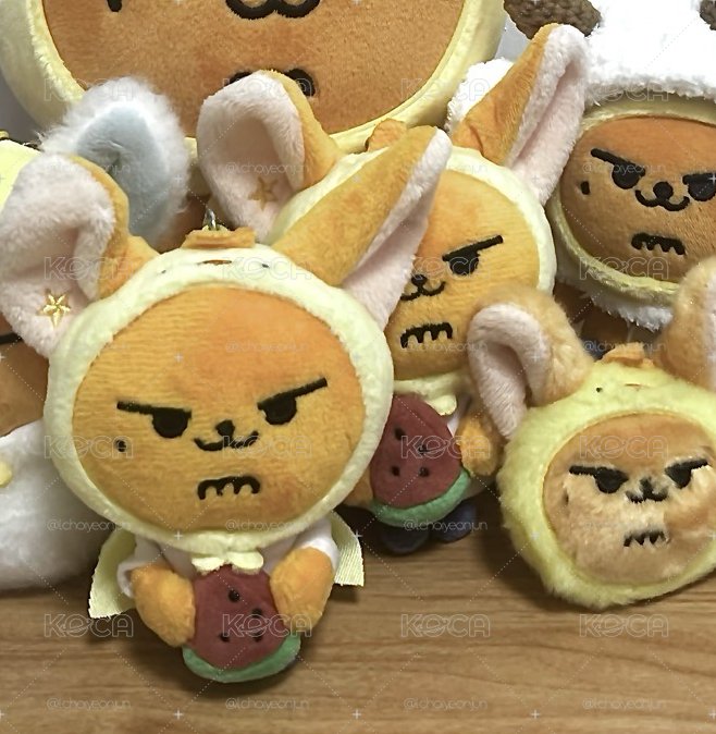 西瓜春