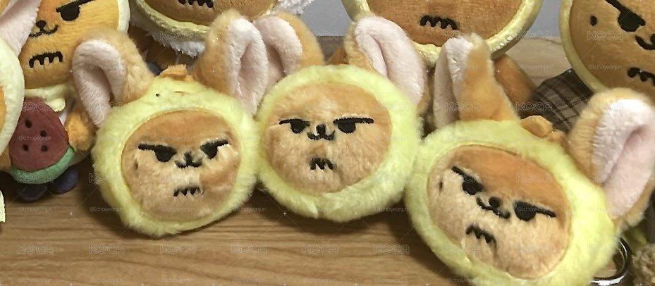 大頭原皮黃春