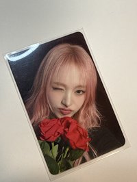 捧花栗