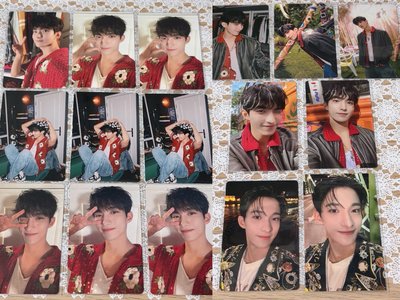Seventeen DK 迷11小卡（不可當綁）