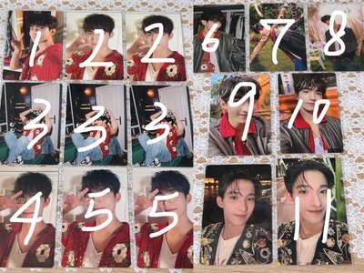 Seventeen DK 迷11小卡（不可當綁）